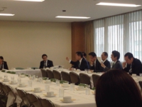 差別問題に関する特命委員会　部落問題に関する小委員会で発言する衛藤議員（平成２８年４月２１日　自民党本部）