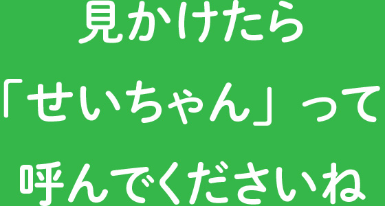 見かけたら
「せいちゃん」って
呼んでくださいね